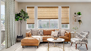 Tan Roman Shades in Living Room